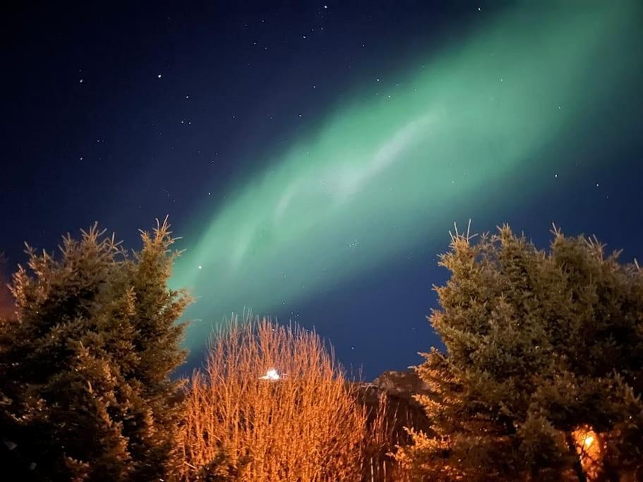 Cosy Flat Near Cable Car And The Arctic Cathedral Apartment Tromso Exterior photo