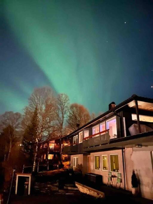 Cosy Flat Near Cable Car And The Arctic Cathedral Apartment Tromso Exterior photo